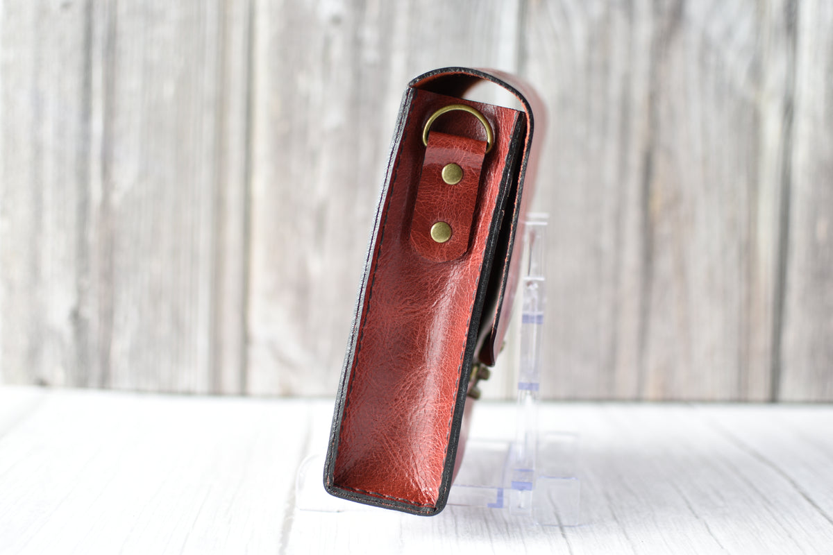 Red leather purse with a antique brass clasp on a white background